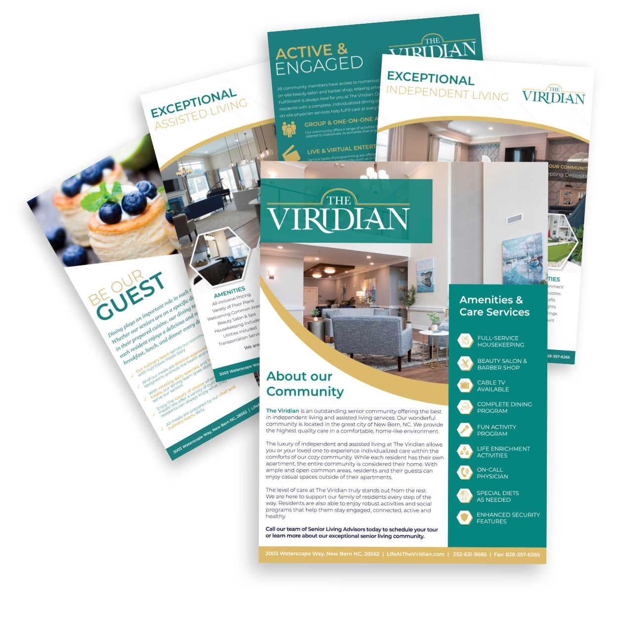 The Viridian info packet gate